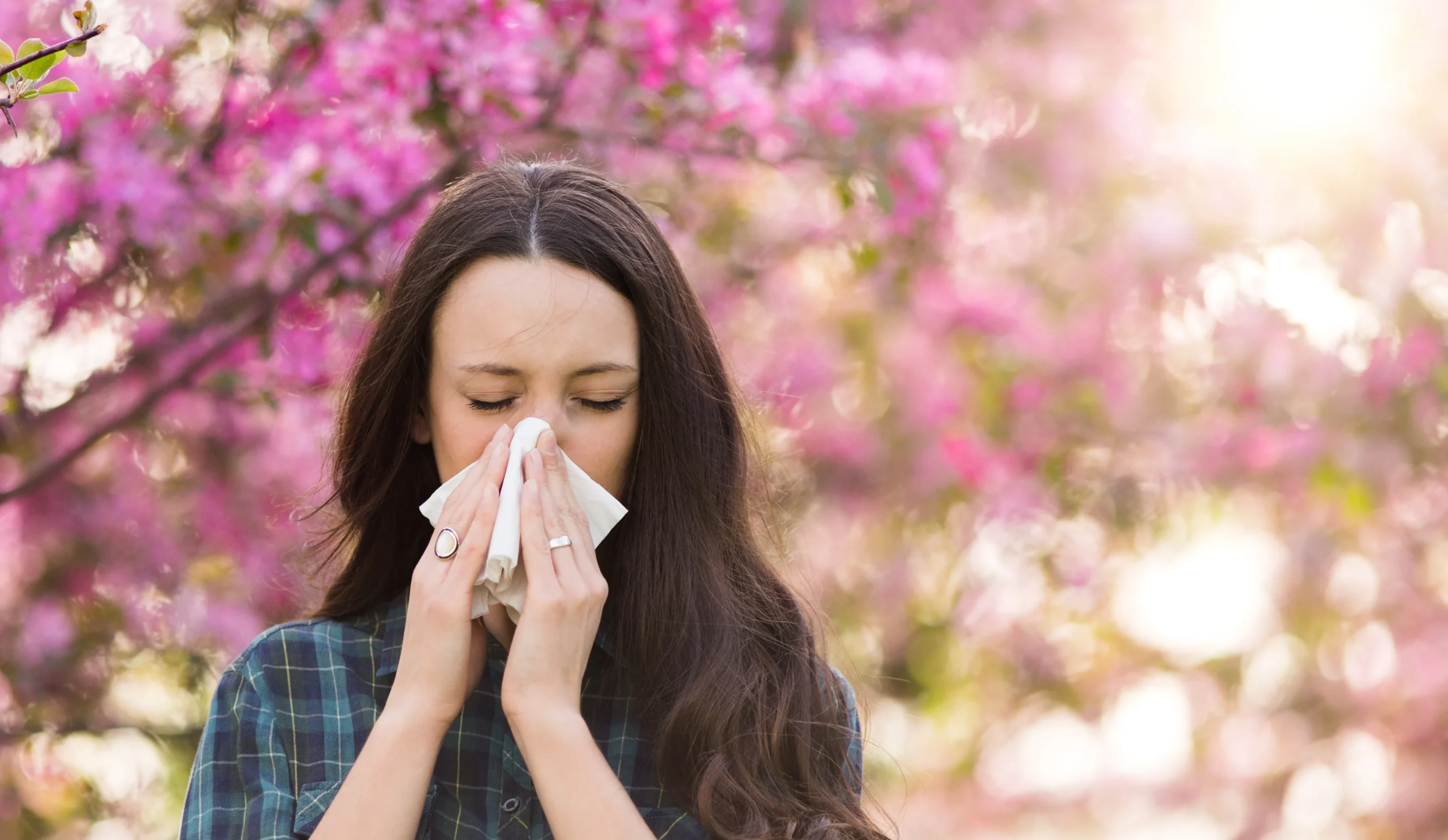 What Causes Allergies nova vita in cedar park and austin tx scaled